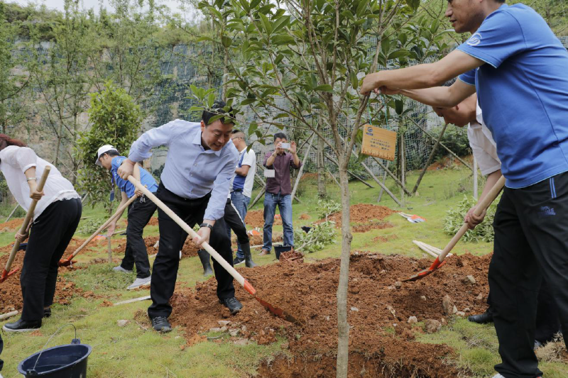 2018062515298969541122344077.png 圖片5_好圖看看.png