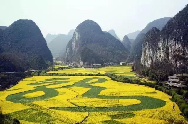 2019022815513231961106362820.jpg 微信圖片_20190228110454.jpg