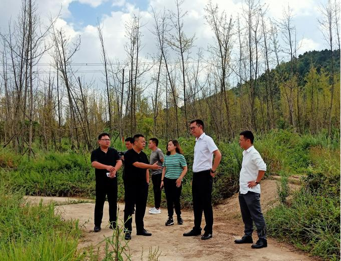 2021081116286470070956471198.png image.png