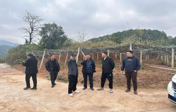 2024031817107241740909345725.png 1.png